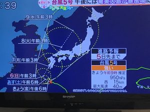 台風５号の影響で  フエリーが欠航‼︎
