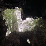 界遺産の島 ・屋久島 ‼︎  縄文杉に挑戦 ‼️