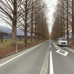 ハイエース ・ワンルームカー‼️ 車中泊生活の旅 ❣️  奥びわこ・マキノ高原・~・メタセコイア並木 ❣️