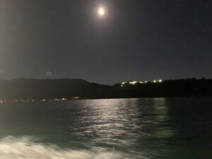 2025年12月4日・2️⃣・四国 ・旅 ‼︎ (1日目)