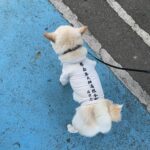 2025年12月7日・1️⃣・四国・徳島県=道の駅スタンプラリー旅(4日目)