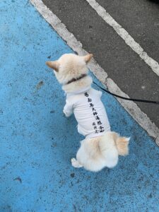 2025年12月7日・1️⃣・四国・徳島県=道の駅スタンプラリー旅(4日目)